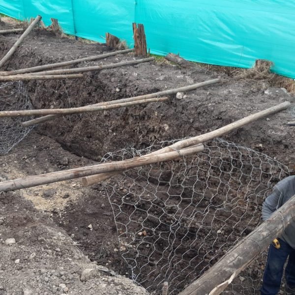 PHOTO-2024-10-12-10-29-59